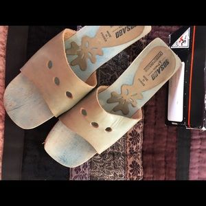 Bosabo by Dooney and Bourke aqua wooden slides.